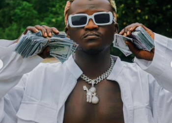 DOWNLOAD Portable – Federal Government Liability (FGL) mp3