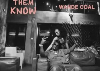 DOWNLOAD Wande Coal – Let Them Know mp3