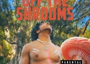 DOWNLOAD Kevin George – OFF THE SHROOMS mp3