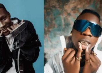 DOWNLOAD Seyi Vibe Ft. Zinoleesky – Snippets (O Wa) mp3