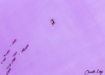 DOWNLOAD Omah Lay – Soso Remix Ft Ozuna mp3