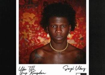 DOWNLOAD Seyi Vibez – Dejavu
