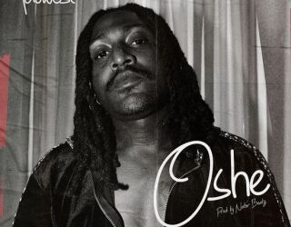 DOWNLOAD Idowest – Oshe mp3