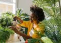 5 benefits of keeping houseplants in your home
by bukky May 15, 2023