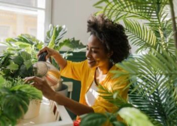 5 benefits of keeping houseplants in your home
by bukky May 15, 2023