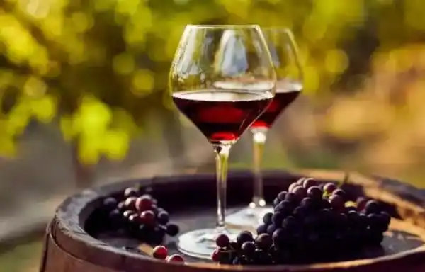 How to make fruit wine at home