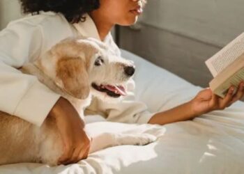 Women sleep better next to dogs than men, study says