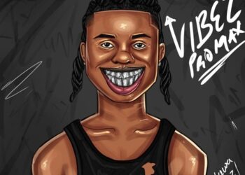 DOWNLOAD Oluwadolarz – Vibez ProMax mp3