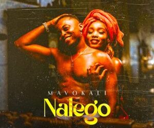 DOWNLOAD Mavokali – Nalego mp3