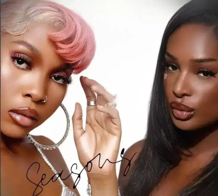 DOWNLOAD Nana Fofie Ft Zuchu – Seasons mp3