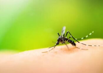 How to get rid of mosquito bites while sleeping