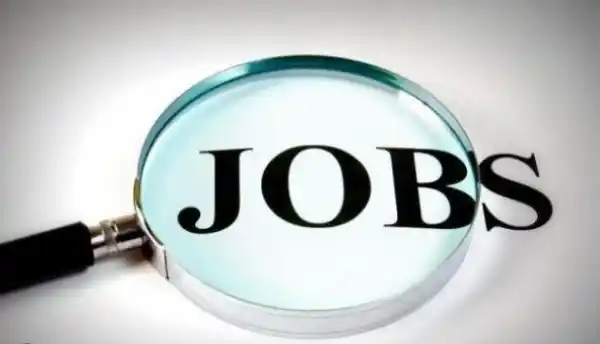 9 most bizarre jobs in the world