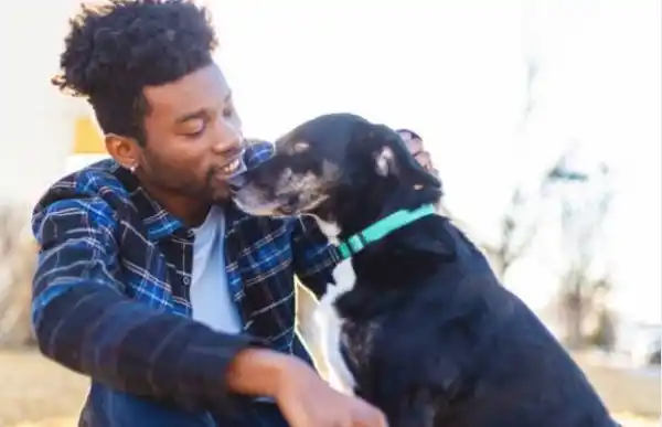 9 things humans do that dogs dislike