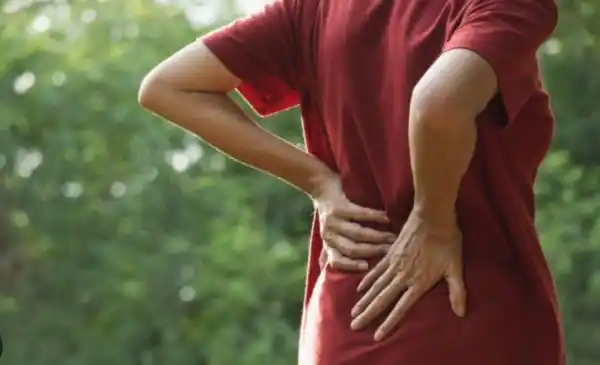 5 foods to get relief from back pain
