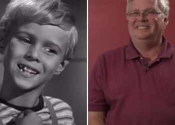 Jay North Net Worth; How Rich is the American Actor?