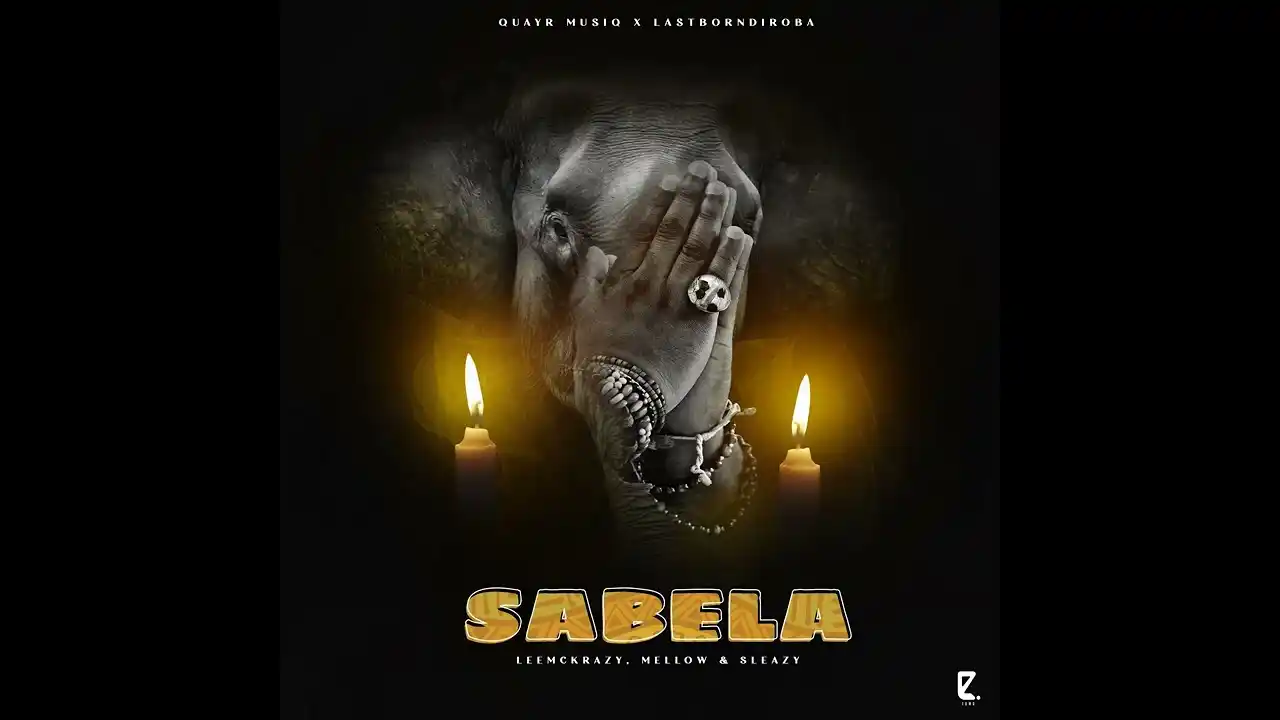 DOWNLOAD QuayR Musiq x LastbornDiroba – Sabela ft. Leemckrazy & Mellow & Sleazy
mp3