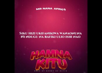 DOWNLOAD Mr Nana – Hamna Kitu mp3