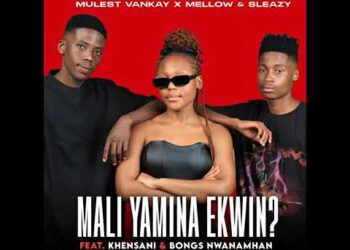 DOWNLOAD Mulest Vankay, Mellow & Sleazy – Mali Yamina Ekwin Ft. Khensani & Bongs Nwana Mhan mp3