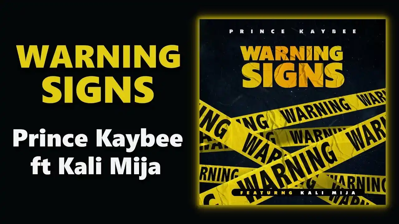 DOWNLOAD
Prince Kaybee – Warning Signs Ft. Kali Mija mp3