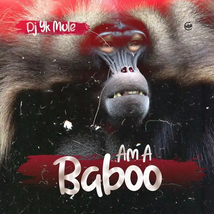 DOWNLOAD Dj Yk Mule – Am A Baboo mp3