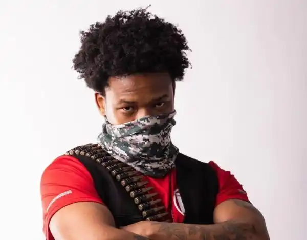 Mzansi reacts as Nasty C punches a fan on stage (Video)