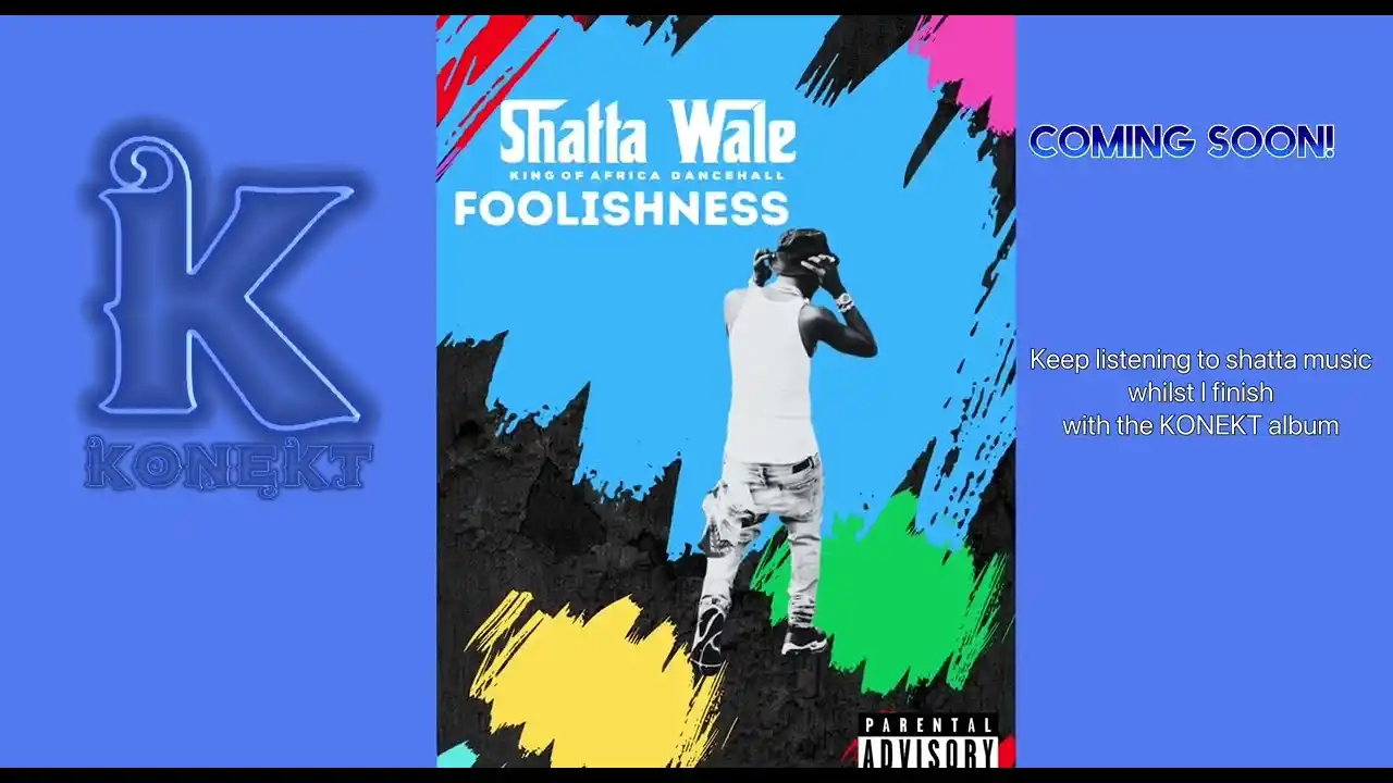 DOWNLOAD Shatta Wale – Foolishness mp3