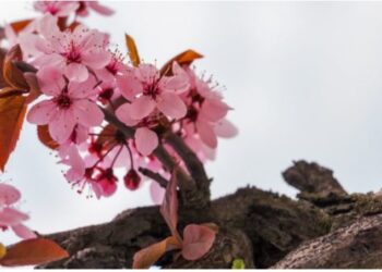 5 ways to spring into a new you