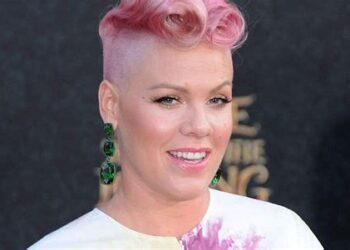 Pink Net Worth; How Rich is Pink?