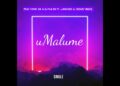 DOWNLOAD Pexi-Tonic SA & Dj 9.8 SA – uMalume Ft Laanoss & Ceekay Musiq mp3