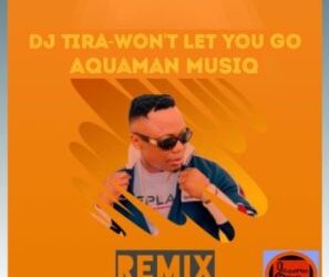 DOWNLOAD Dj Tira – Wont Let You Go (AquaMan MusiQ Remix) mp3