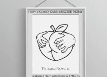 DOWNLOAD Drip Gogo, DJ Karri & Exceed Deejay ft HarrisDontcare & FME DJs – Tshwara Ngwana mp3