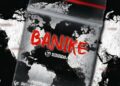 DOWNLOAD Nandipha808, Ceeka RSA, LeeMckrazy, Philharmonic – Banike mp3