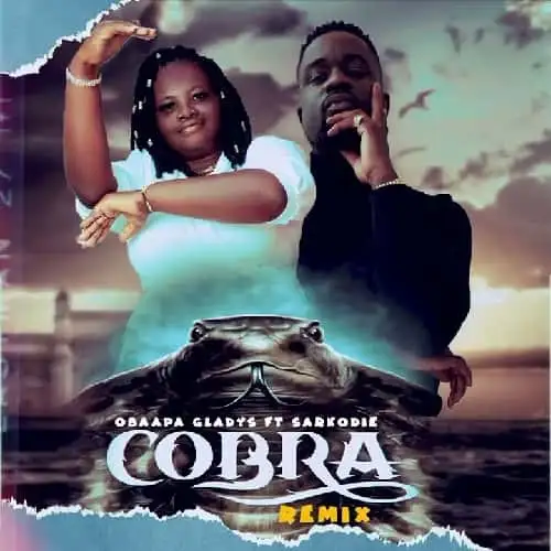 DOWNLOAD Obaapa Gladys – Cobra Remix ft. Sarkodie mp3
