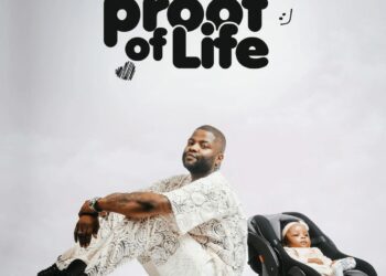 DOWNLOAD Skales – I Still Dey mp3