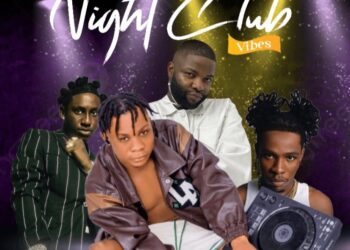DOWNLOAD DJ Hotchris – Night Club Vibes mp3