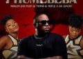 DOWNLOAD NDLOH JNR – Phumelela ft. Q Twins, Triple & Da Ghost mp3