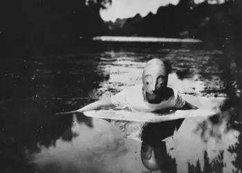 Trey Anastasio’s “Lonely Trip” Meaning