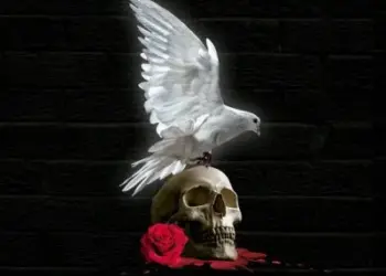 DOWNLOAD Kay Rose – My Love (Remix) ft Nicole Elocin, Nia Pearl, Bontle Smith, Mas Musiq & Daliwonga mp3