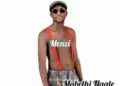 DOWNLOAD Menzi – Amaphutha mp3