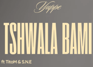 DOWNLOAD Yuppe & TitoM – Tshwala Bami Ft S.N.E mp3