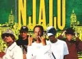 DOWNLOAD Novatron, Carter IV & Blacko SA – Njalo ft LeeMckrazy & Scotts Maphuma mp3