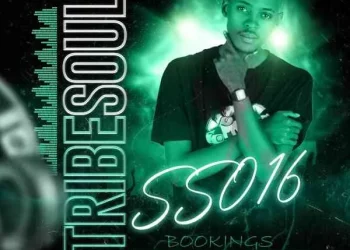 DOWNLOAD TribeSoul – Selektive Sessions 016 Mix mp3