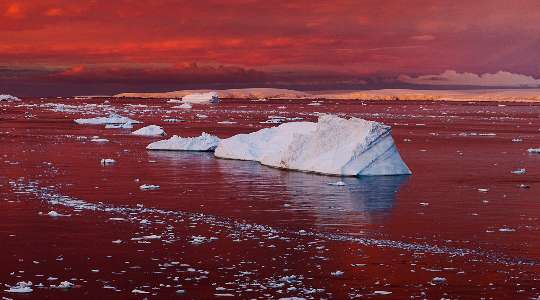 Apart From Being World's Coldest Region, Here Are 10 Shocking Facts About The ANTARCTICA That You Never Knew! Apart From Being World's Coldest Region, Here Are 10 Shocking Facts About The ANTARCTICA That You Never Knew!