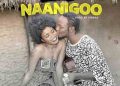 DOWNLOAD Lazzybwoy – Naanigoo mp3