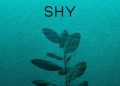 DOWNLOAD Saint Evo – Shy (Original Mix) mp3