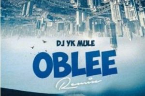 DOWNLOAD Dj Yk Mule – Oblee (Remix) ft. Wizkid & Seyi Vibez mp3