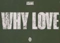 DOWNLOAD Asake – WHY LOVE mp3