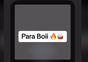 DOWNLOAD DJ Cora – Para Boi (Ish Ish Ish) mp3