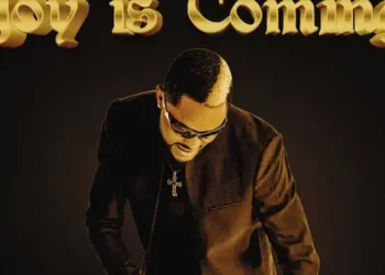 DOWNLOAD Fido – Joy Is Coming (Speed Up) mp3