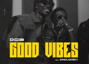 DOWNLOAD Didi B – Good Vibes Ft. Zinoleesky mp3